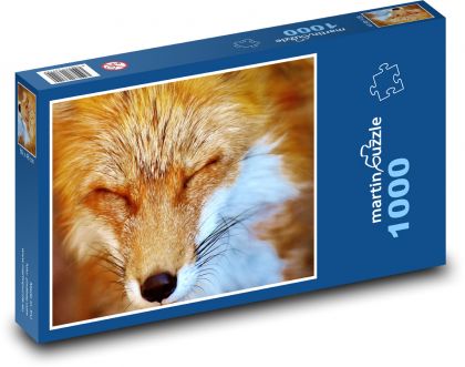 Fox - a wild animal - Puzzle 1000 pieces, size 60x46 cm 