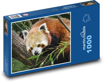 Panda - bear cat - Puzzle 1000 pieces, size 60x46 cm 