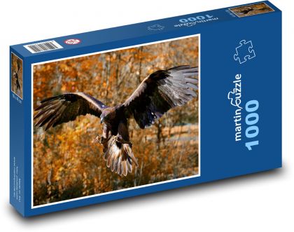 Orzeł w locie - Puzzle 1000 elementów, rozmiar 60x46 cm