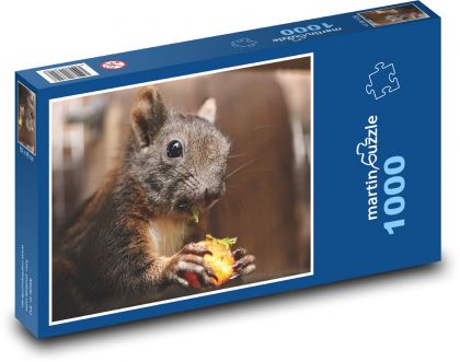 Veverka - savec, mládě - Puzzle 1000 dílků, rozměr 60x46 cm