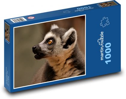 Lemur - monkey, animal - Puzzle 1000 pieces, size 60x46 cm 