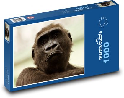 Gorila - opice, primát - Puzzle 1000 dílků, rozměr 60x46 cm