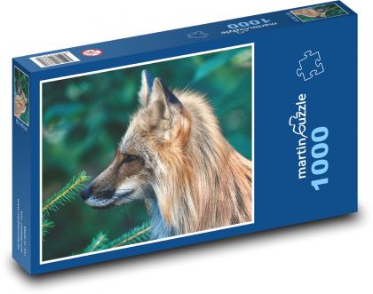 Liška - divoká, zvěř - Puzzle 1000 dílků, rozměr 60x46 cm
