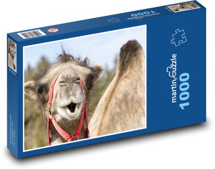 Ťava - cicavec, Afrika - Puzzle 1000 dielikov, rozmer 60x46 cm