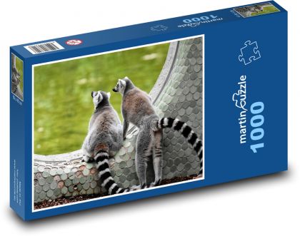 Lemur - monkey, zoo - Puzzle 1000 pieces, size 60x46 cm 