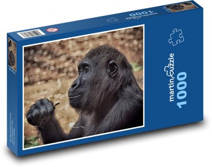 Monkey - gorilla, mammal - Puzzle 1000 pieces, size 60x46 cm 