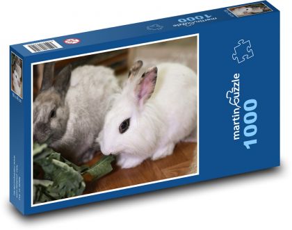 Zakrslý králik - domáce zviera - Puzzle 1000 dielikov, rozmer 60x46 cm