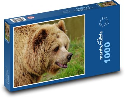 Medvěd - lesní, zvíře - Puzzle 1000 dílků, rozměr 60x46 cm