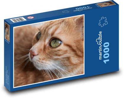 Kot - domowy, czerwonawy - Puzzle 1000 elementów, rozmiar 60x46 cm