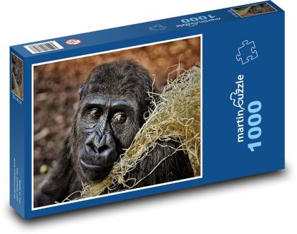 Gorila - primát, opice - Puzzle 1000 dílků, rozměr 60x46 cm