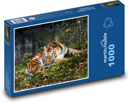 Tygr - dravá kočka, zvíře - Puzzle 1000 dílků, rozměr 60x46 cm