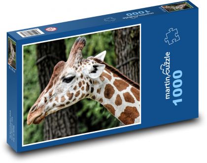 Žirafa v zoo - puzzle 1000 dílků