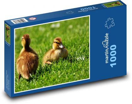Kachňata - mláďata, kachny - Puzzle 1000 dílků, rozměr 60x46 cm