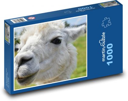 Alpaka - weiß, Tier - Puzzle - 1000 Teile