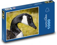 Husa - divoká, rybník Puzzle 1000 dílků - 60 x 46 cm