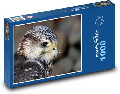 Falcon - predator, bird - Puzzle 1000 pieces, size 60x46 cm 