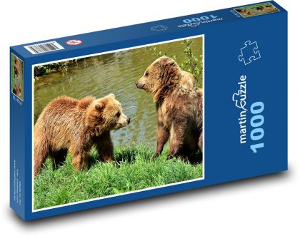 Medveď - dravá šelma - Puzzle 1000 dielikov, rozmer 60x46 cm
