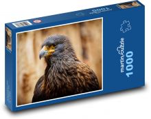 Buzzard - a bird of prey Puzzle 1000 pieces - 60 x 46 cm 