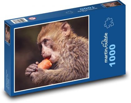 Opice - mládě, savec - Puzzle 1000 dílků, rozměr 60x46 cm