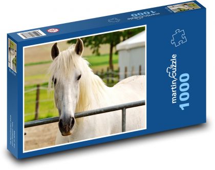 Kůň - zvíře, farma - Puzzle 1000 dílků, rozměr 60x46 cm