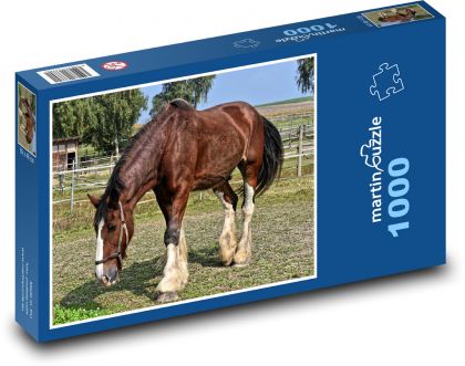 Kůň - jezdecký, zvíře - Puzzle 1000 dílků, rozměr 60x46 cm