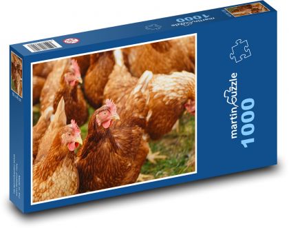 Kurczęta w gospodarstwie - Puzzle 1000 elementów, rozmiar 60x46 cm