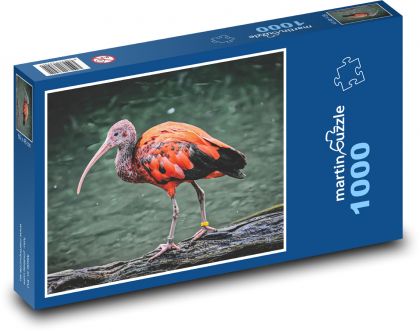 Ibis kuriatko - Puzzle 1000 dielikov, rozmer 60x46 cm