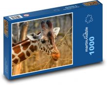 Žirafa - savana, zoo Puzzle 1000 dílků - 60 x 46 cm