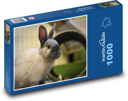 Zakrslý králik - domáce zviera - Puzzle 1000 dielikov, rozmer 60x46 cm