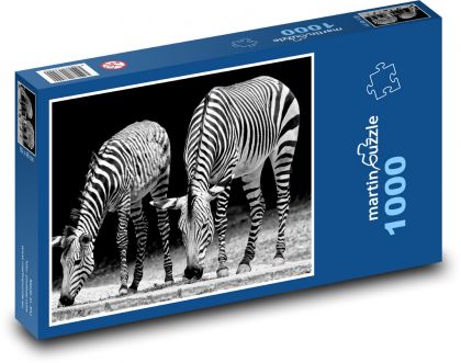 Zebry - Afrika, zoo - Puzzle 1000 dílků, rozměr 60x46 cm