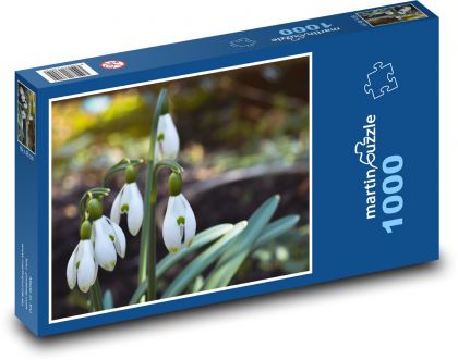 Schneeglöckchen - Frühlingsblumen - Puzzle - 1000 Teile