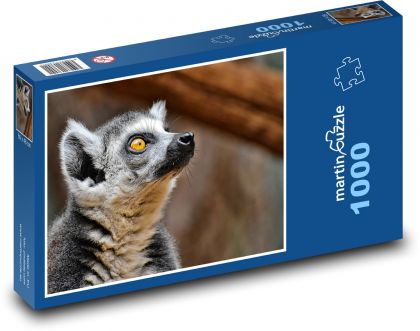Lemur - zoo, zvíře - Puzzle 1000 dílků, rozměr 60x46 cm