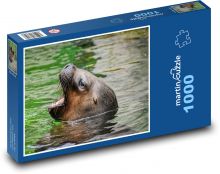 Lachtan - zvíře, příroda Puzzle 1000 dílků - 60 x 46 cm