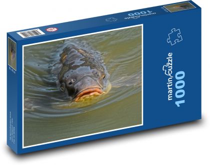 Kapr - rybník, ryba - Puzzle 1000 dílků, rozměr 60x46 cm