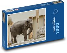 Slon - Afrika, zviera Puzzle 1000 dielikov - 60 x 46 cm 