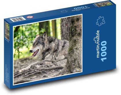Vlk - dravec, šelma - Puzzle 1000 dílků, rozměr 60x46 cm