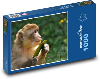 Makaken - Affe, Tier - Puzzle - 1000 Teile