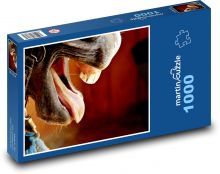 Horse - animal, teeth Puzzle 1000 pieces - 60 x 46 cm 