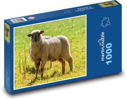 Sheep - wool, grass - Puzzle 1000 pieces, size 60x46 cm 