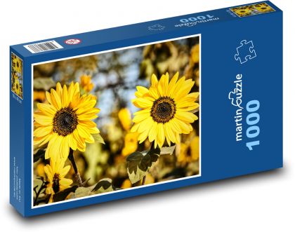 Slunečnice - léto, zahrada - Puzzle 1000 dílků, rozměr 60x46 cm