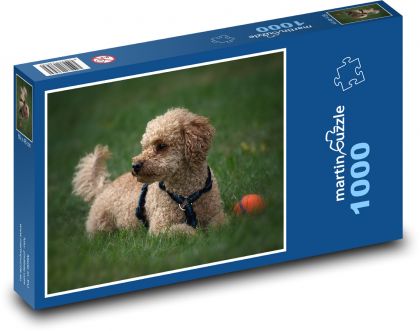 Pudel - Haushund - Puzzle - 1000 Teile