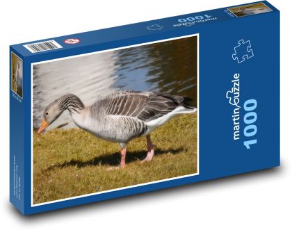 Wasservogel - Wildgans - Puzzle - 1000 Teile