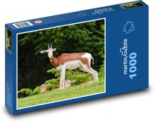 Gazela - Afrika, zvíře Puzzle 1000 dílků - 60 x 46 cm