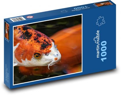 Koi - ryba, exotický - puzzle 1000 dílků