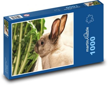 Rabbit - a pet - Puzzle 1000 pieces, size 60x46 cm 