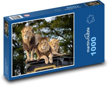 Lev - dravec, zvíře - Puzzle 1000 dílků, rozměr 60x46 cm