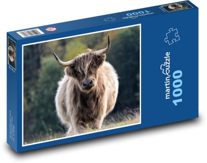 Dobytok, býk, rohy - Puzzle 1000 dielikov, rozmer 60x46 cm