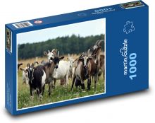 Kozy - zvieratá, stádo Puzzle 1000 dielikov - 60 x 46 cm 