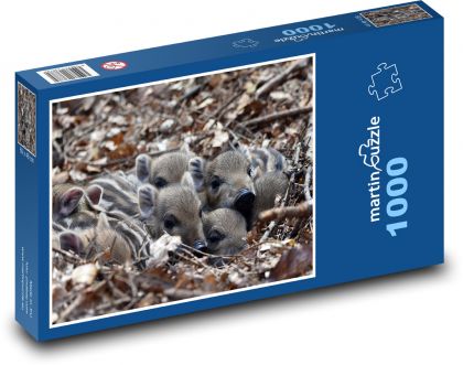 Wildschweine - Ferkel - Puzzle - 1000 Teile