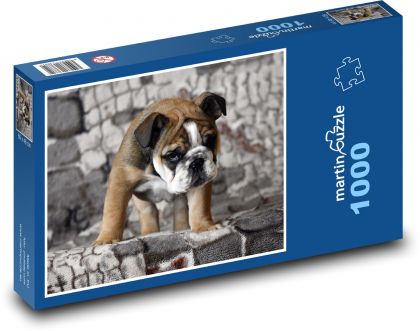 Buldok - štěně, pejsek - Puzzle 1000 dílků, rozměr 60x46 cm